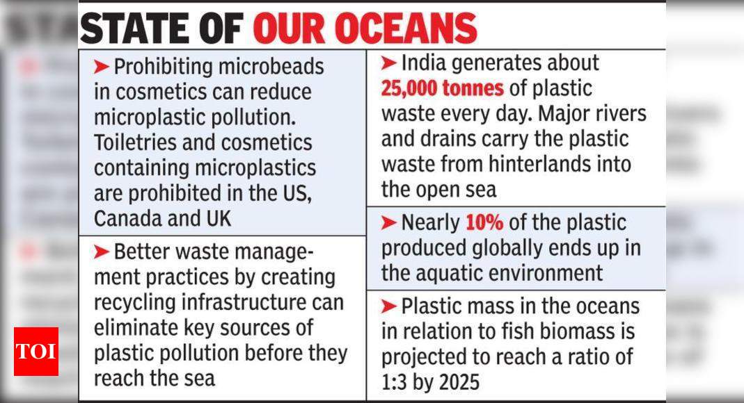 Counting The Cost Of Pollution: How Microplastics Threaten Marine ...