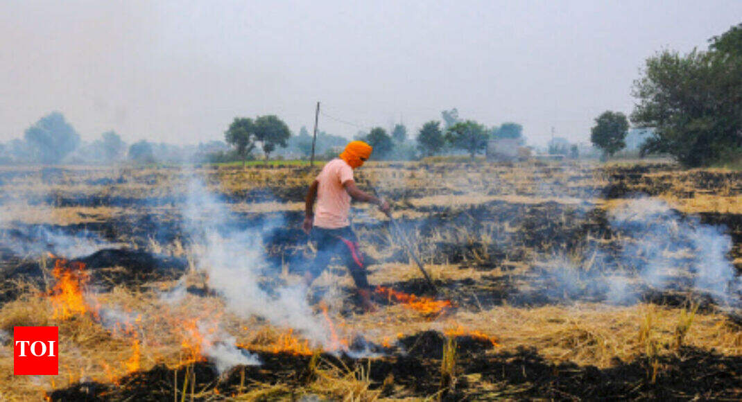 Stop farm fires or face contempt: SC to 3 states