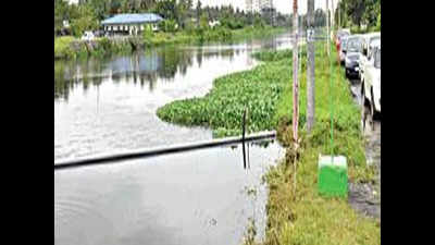 Kochi: Around 2,000 acres of backwaters reclaimed