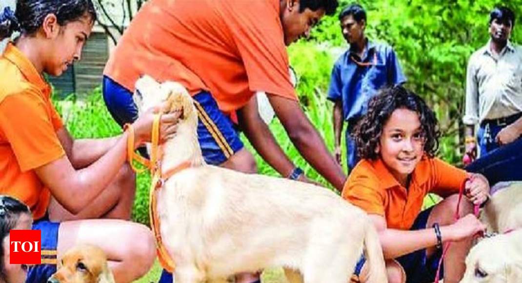 Furry friends attend school to help children with life lessons | Bengaluru  News - Times of India