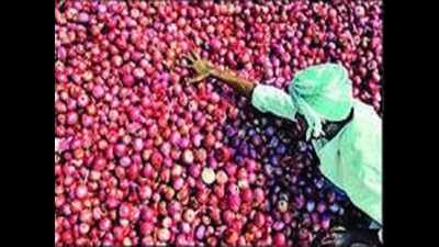 Bengaluru: Onion prices shoot up, drill holes in consumers pockets