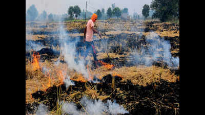 Uttar Pradesh fares better than Haryana and Punjab in stubble burning: Study