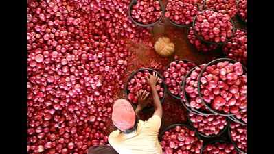 At Lasalgaon market, onion price nears all-time high
