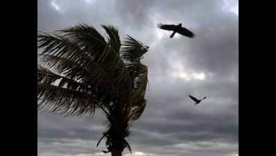 Cyclone Maha may bring rains in parts of Maharashtra, Goa till November 7: IMD
