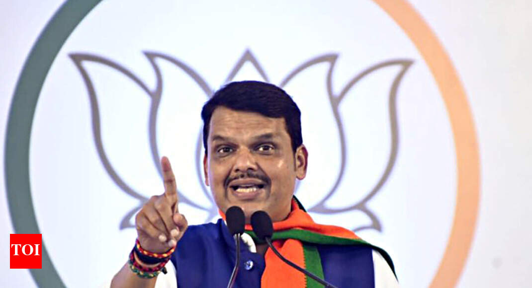 Fadnavis meets RSS chief Mohan Bhagwat