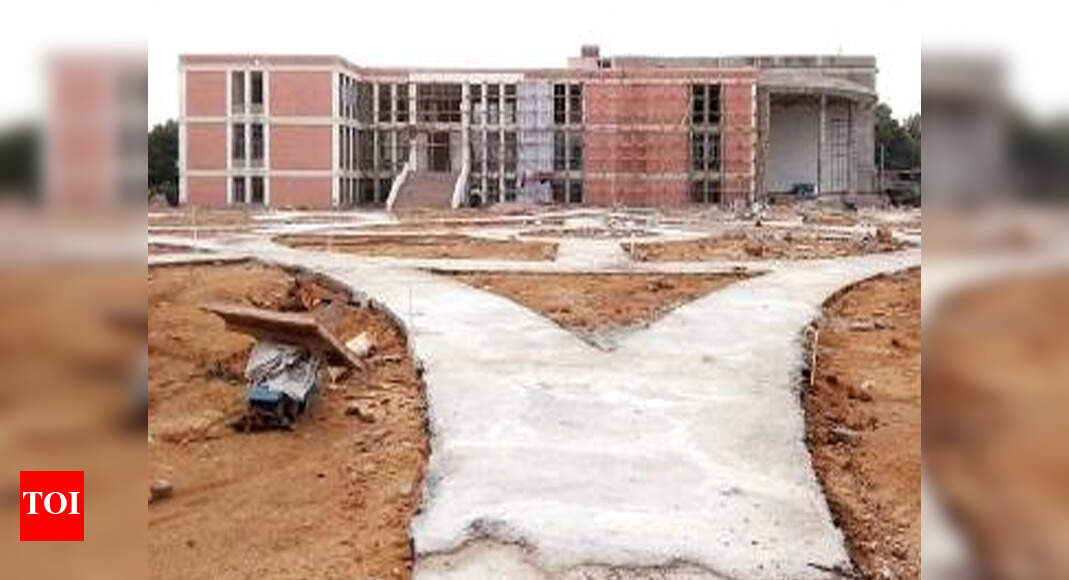 Gaushala Holds Key To Sikar S 500 Bed Hospital Jaipur News Times Of India