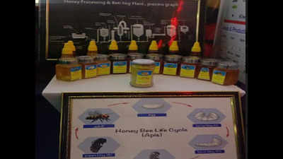 'White honey of Himachal Pradesh hogs limelight at global investors meet'