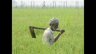 Tamil Nadu wins ‘global agriculture award’