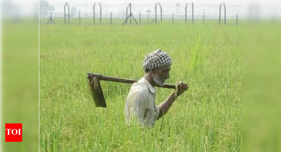 Excellence In Agriculture Sector Tamil Nadu wins ‘global agriculture