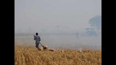 Farm fires so far: Punjab at 42,000, Haryana 5,400