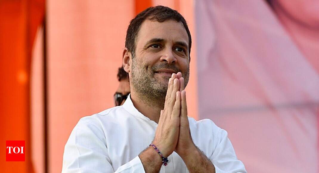 We should maintain mutual harmony: Rahul Gandhi