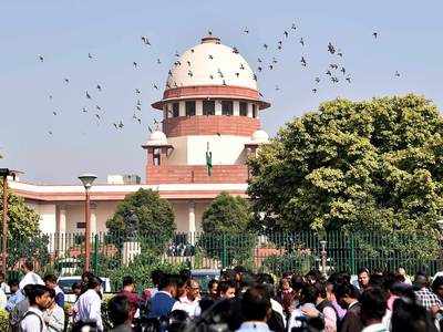 Sunni Central Waqf Board chairman welcomes SC verdict on Ayodhya