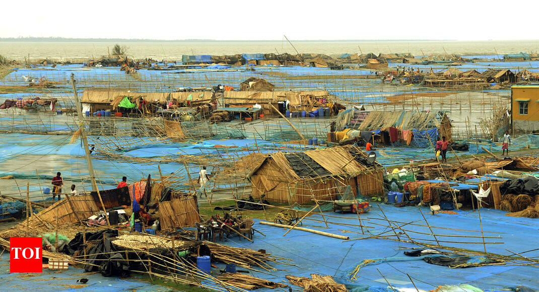 Bengal: 7 killed as cyclone Bulbul disrupts life