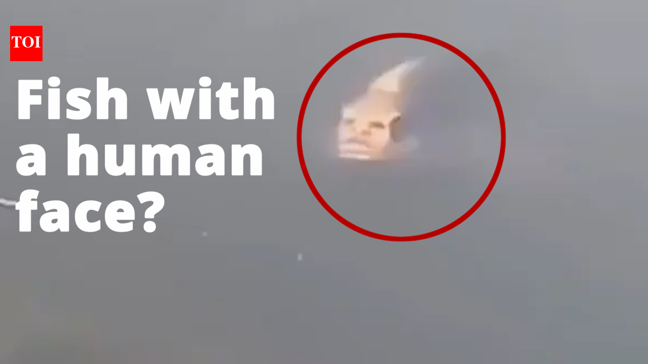Fish with a human face?