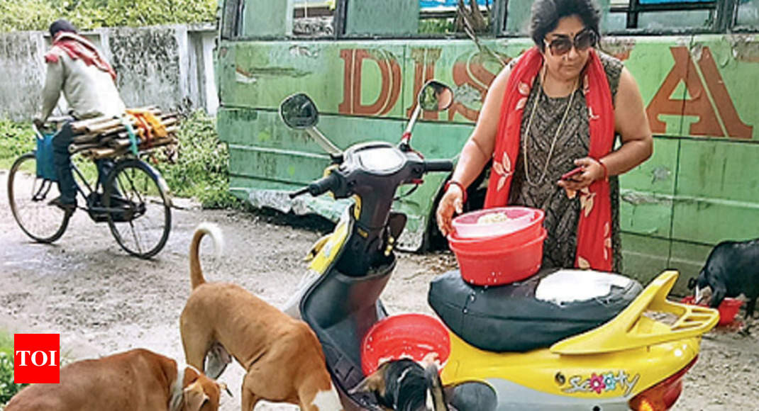 Woman takes Rs 3L loan to look after street dog