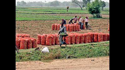Cyclone Bulbul: Inundated fields trigger veggie price-rise fear in Hooghly