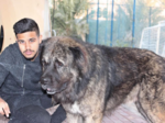 Meet Abdulla Saif Belhasa, a stylish footballer & an avid Animal lover...