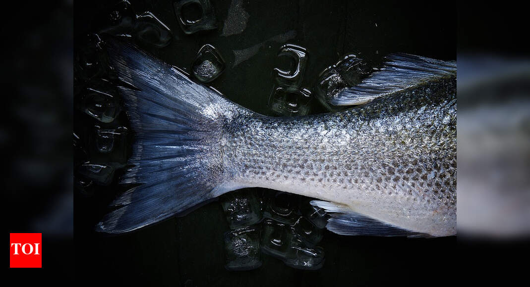 Vendor sells fish for Re 1 per kg to spread awareness on healthy eating ...