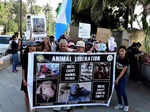 Activists march to raise awareness about rising animal cruelty