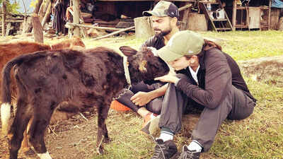 Anushka Sharma and Virat Kohli play with calves in Bhutan, fans pour love