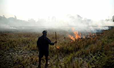 Stubble burning cases in Punjab cross 48,000, to surpass last year’s count