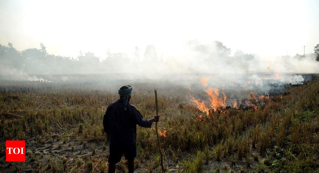 Stubble burning cases in Punjab cross 48,000 set to cross last year’s count