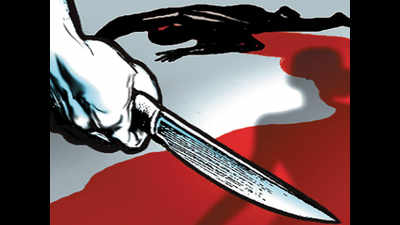 Ghaziabad: Man stabs wife to death, tries to kill self