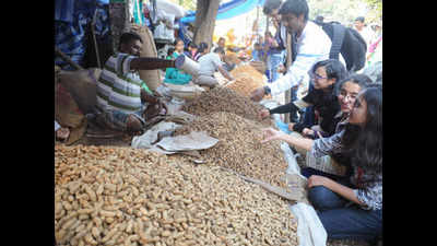 Karnataka: Basavanagudi groundnut fair from November 25