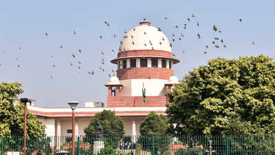 Disqualified Karnataka MLAs can contest elections: SC after upholding speaker's decision