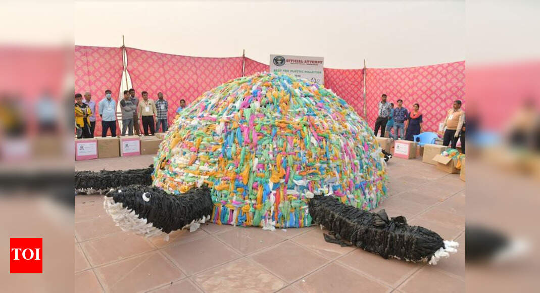 Haryana Plastic turtle gives message to shun singleuse polybags
