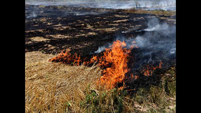 Farm fires down to five, air still poor