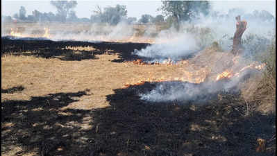 Stubble burning: Mathura administration imposes fine of over Rs 12 lakh on 281 farmers