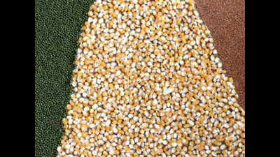 Pune: Dals and grains go the veggie way, prices surge by 25-30%