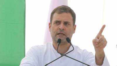 I-T tribunal rejects Rahul Gandhi's application to make Young India charitable trust; 100 crore income tax case reopens