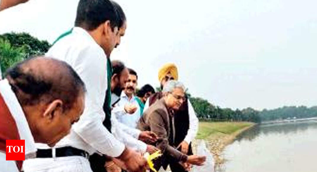 3,500 fish seeds swim to freedom in Sukhna Lake Chandigarh News