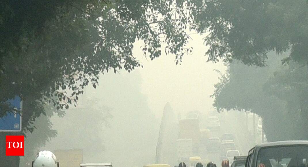 Delhi breathes easy, has cleanest air in 1 week