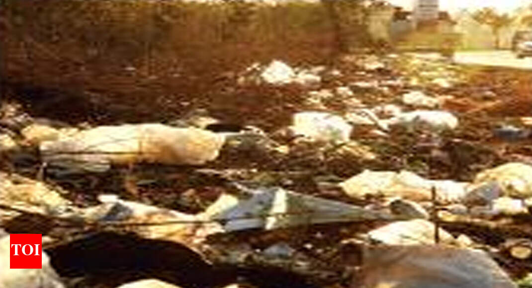 Goa: To curb plastic use, state to go after manufacturers - Times of India