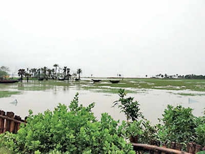 Cyclone Bulbul caused incalculable damage to sinking Sunderbans islands: Experts