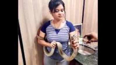 Palghar: Cobra found with maggot wounds in mouth