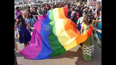 Kochi hosts 10th queer pride march