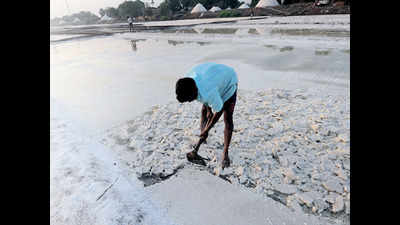 Rain washout: Salt production takes hit in Gujarat