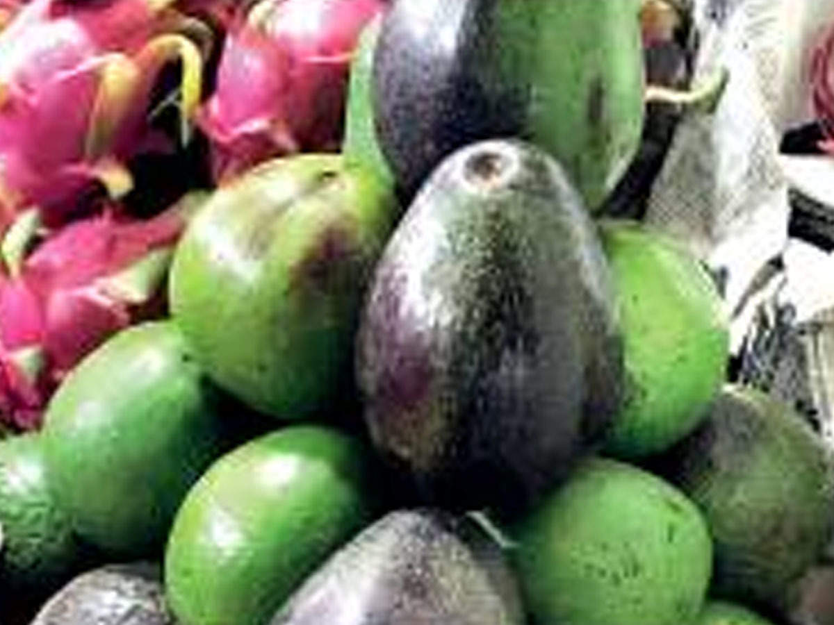 Slang praktijk Onderdrukker Bengaluru: Avocado price jumps from Rs 80 to Rs 300/kg | Bengaluru News -  Times of India