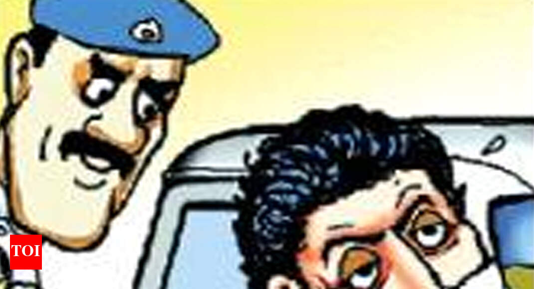 Goa to implement Motor Vehicle Act from Jan’ - Times of India