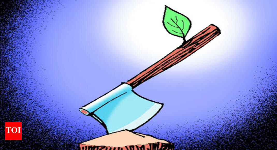 To save trees, tunnel mooted at Karmal Ghat - Times of India