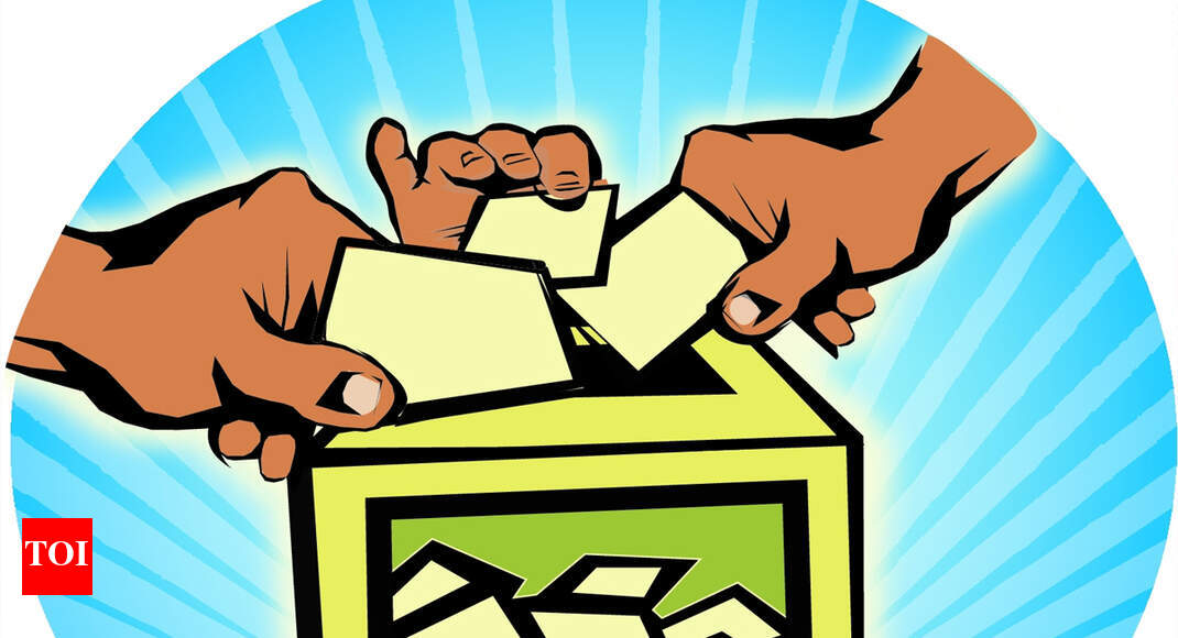 Margao council chief elections on November 22 - Times of India