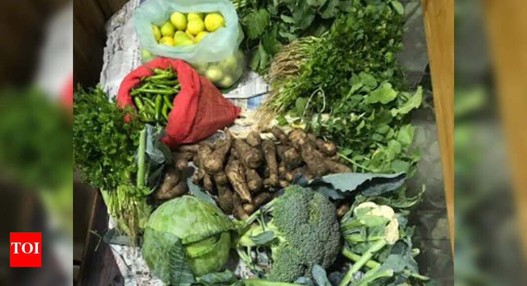 Vegetables grown by SHGs to be sold through special outlets in Himachal