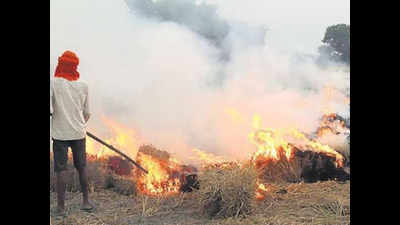 UP: 12 farmers held for burning crop residue in Mathura