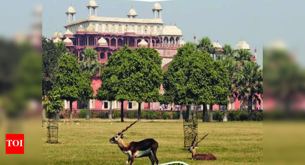 air safari agra uttar pradesh