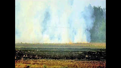 Farm fires rise to 50,967 in Punjab, cross last year's figure