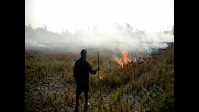 In Punjab, incidents of stubble burning jump to 1,289
